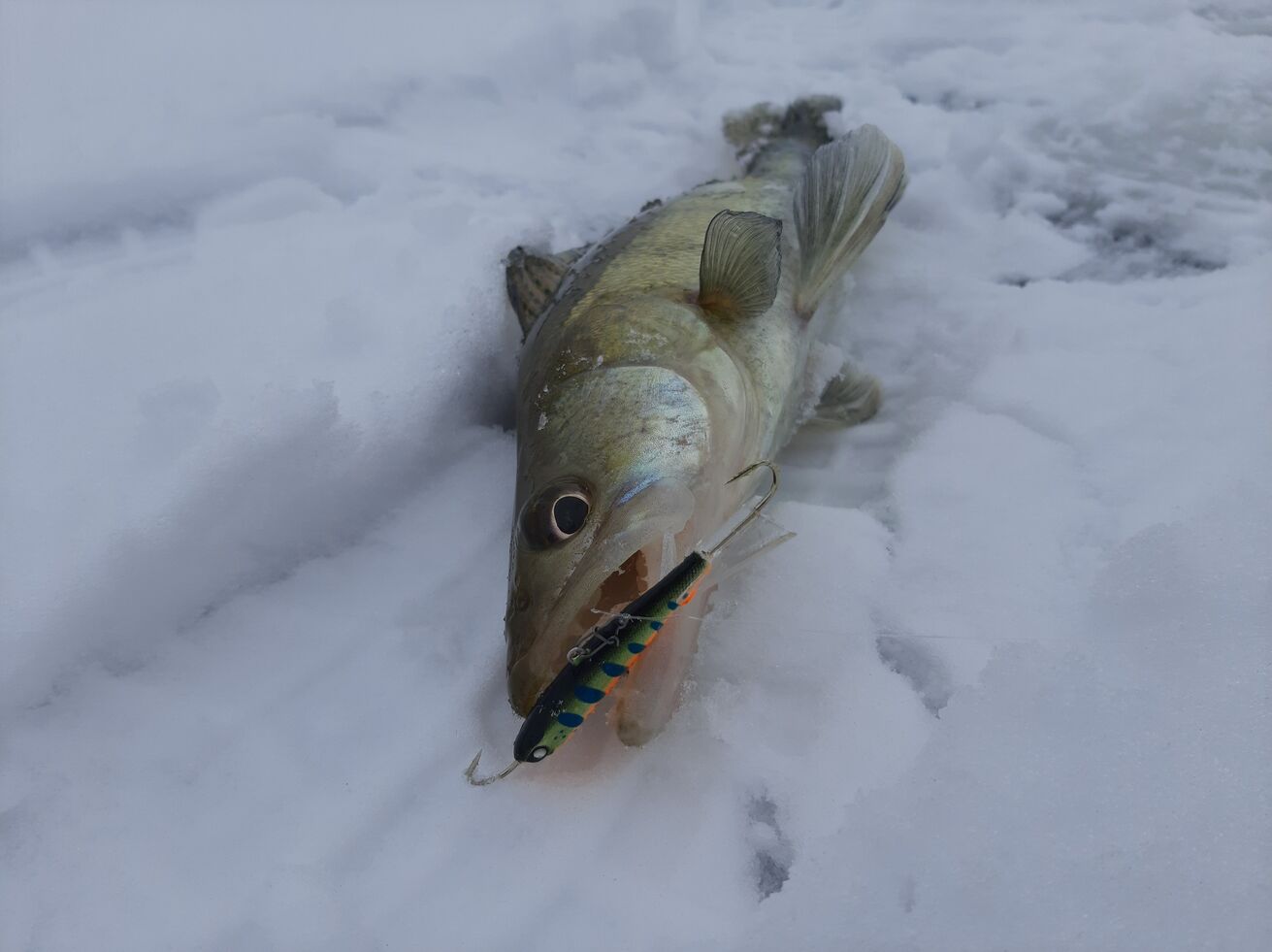 Балансир Lucky John NORDIC 6 60мм/103, фото 4