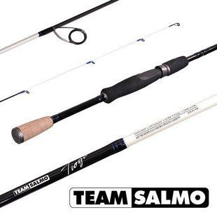Вудилище спінінгове Team Salmo TIOGA 1-8/1.98(6'5") TSTI3-198MF фото