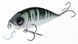 Воблер плав. LJ Original SHAD CRAFT F 05.00/A024 LJO1105F-A024 фото